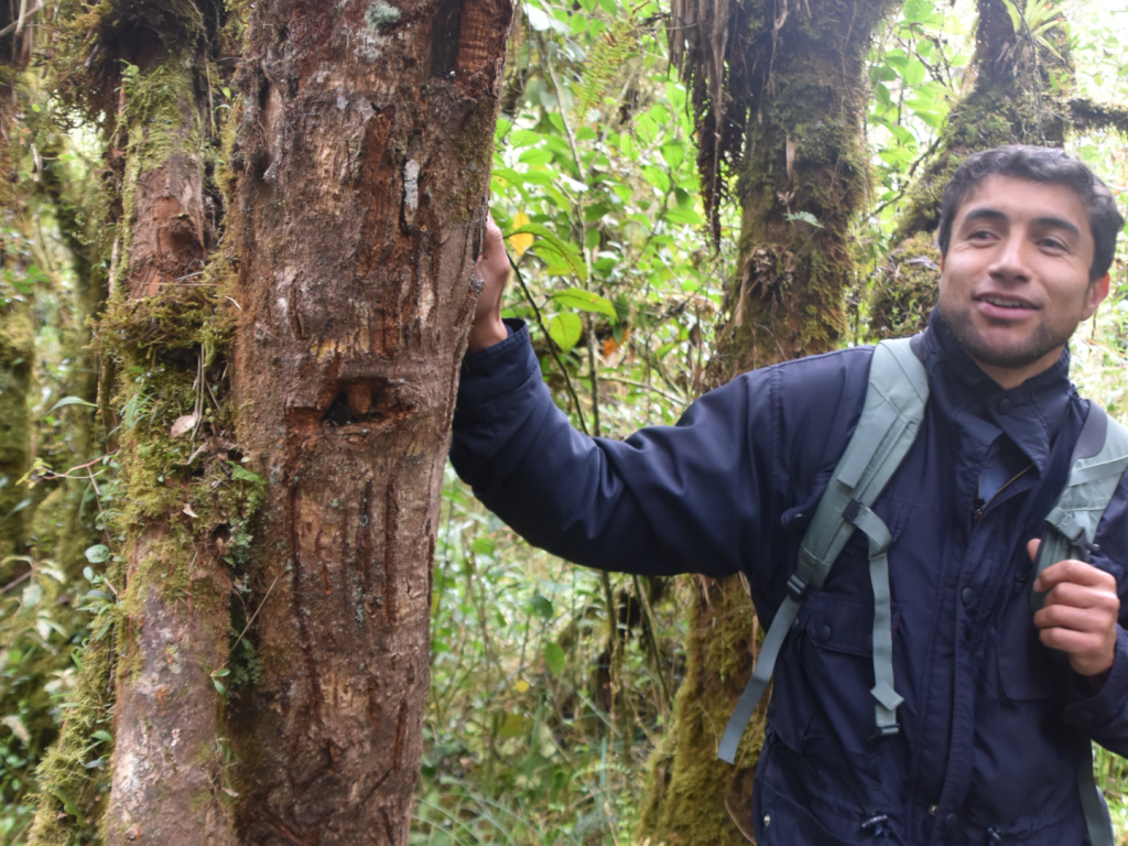 Guardaparques Óscar Raigozo junto a un árbol rasguñado por el oso andino.