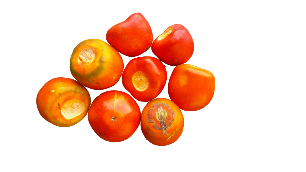 Los frutos del chontaduro se consumen usualmente cocinados, pero también se produce una gran variedad de alimentos: harinas, snacks, jugos, o ingredientes culinarios.