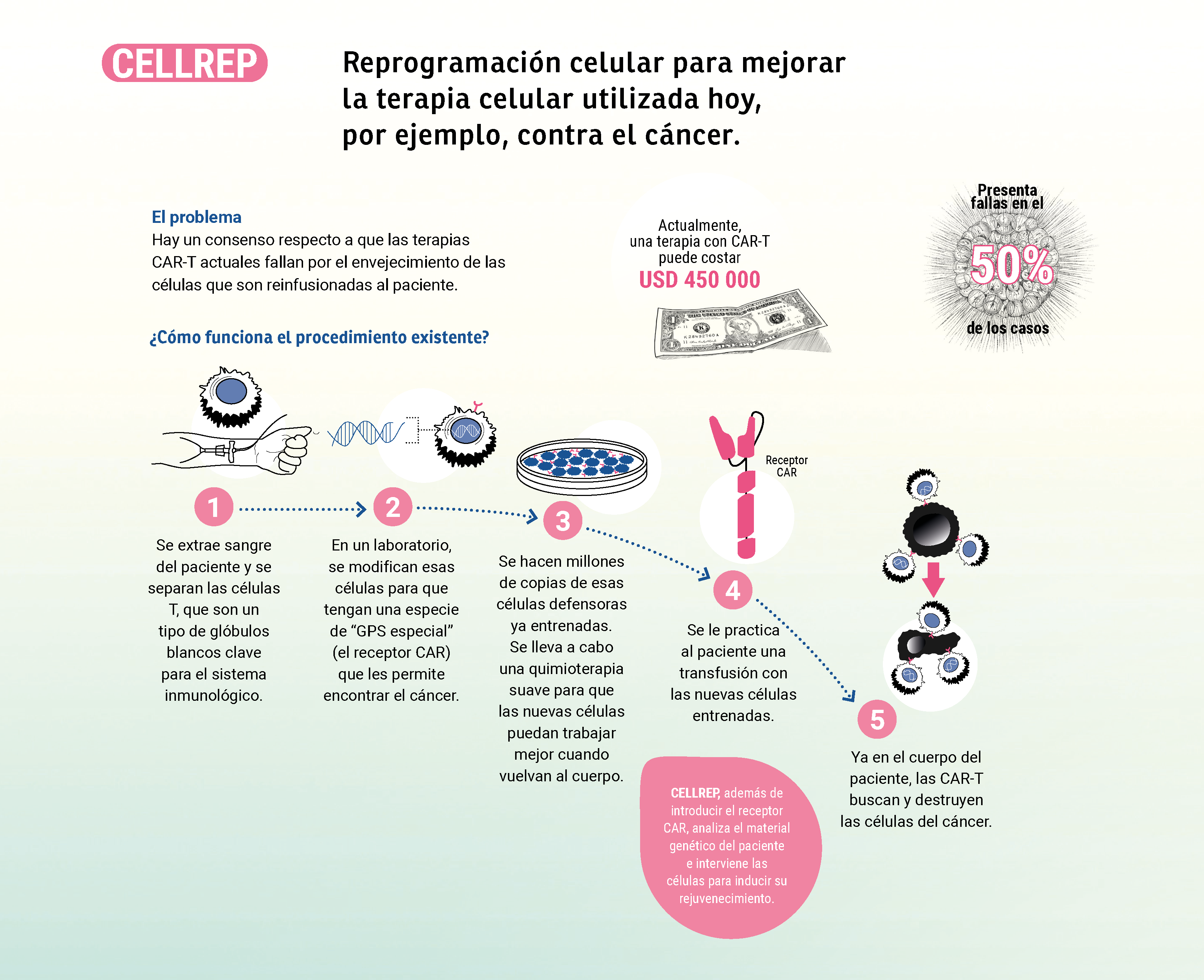 Cellrep, Reprogramación celular para mejorar la terapia celular utilizada hoy,
por ejemplo, contra el cáncer.