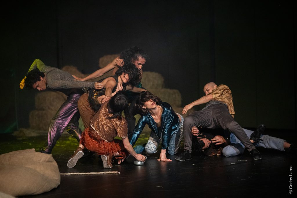 Mundear/Prácticas para ser-mundo es un proyecto que experimenta con la relación entre lo humano y lo no humano desde la danza y la filosofía