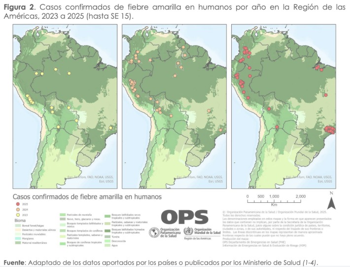 Fiebre amarilla en la región de las Américas