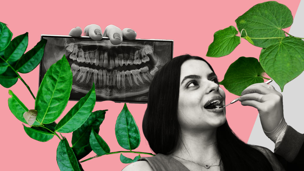 Más allá del flúor: exploran alternativa natural con hojas de plantas para proteger los dientes 