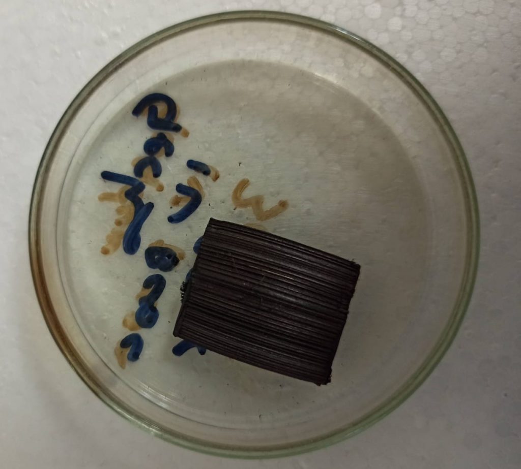 La guadua, símbolo de construcción sostenible, ahora también sirve para tratar el agua. Investigadores javerianos lograron que, al combinarla con dióxido de titanio y luz ultravioleta, se inactiven bacterias peligrosas como Salmonella y la E. coli. 
