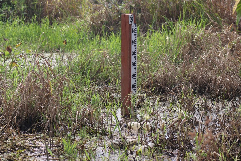 Pesquisa Javeriana acompañó al profesor Jorge Escobar en una salida de campo a La Mojana. El equipo del investigador trabaja para monitorear la dinámica hídrica y sedimentaria de La Mojana, una región que entre inundaciones y sequías contiene una complejidad que va mucho más allá de Caregato.