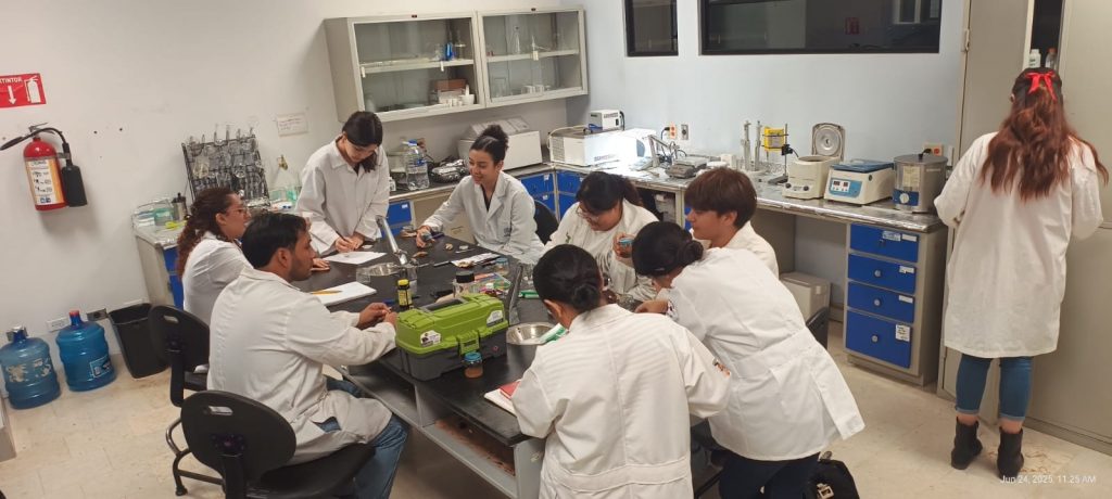 Heilyn Casanova en una sesión de trabajo en los laboratorios de la Universidad Autónoma de Ciudad Juárez en conjunto con estudiantes del programa Delfín y estudiantes del grupo de investigación Nanomed / Fotografía cortesía de la estudiante
