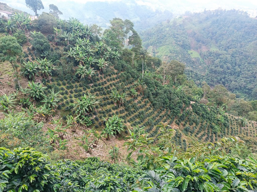 El campo en Colombia necesita un relevo generacional: ¿cómo abordarlo?