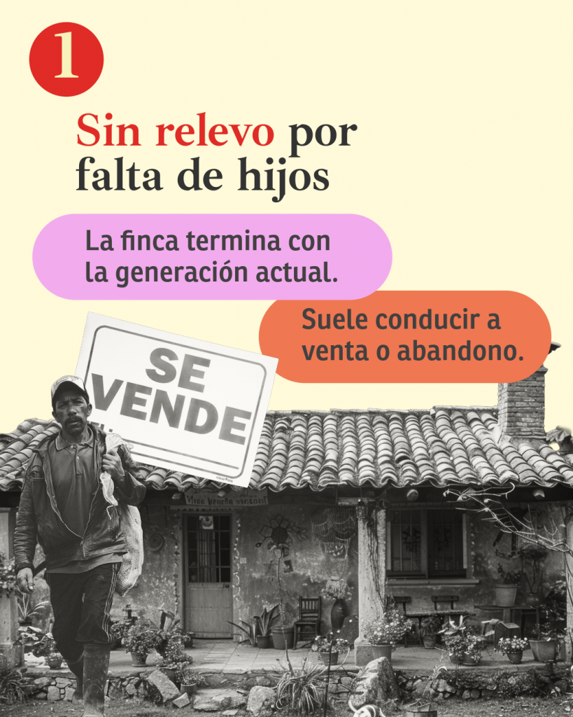 El campo en Colombia necesita un relevo generacional: ¿cómo abordarlo?