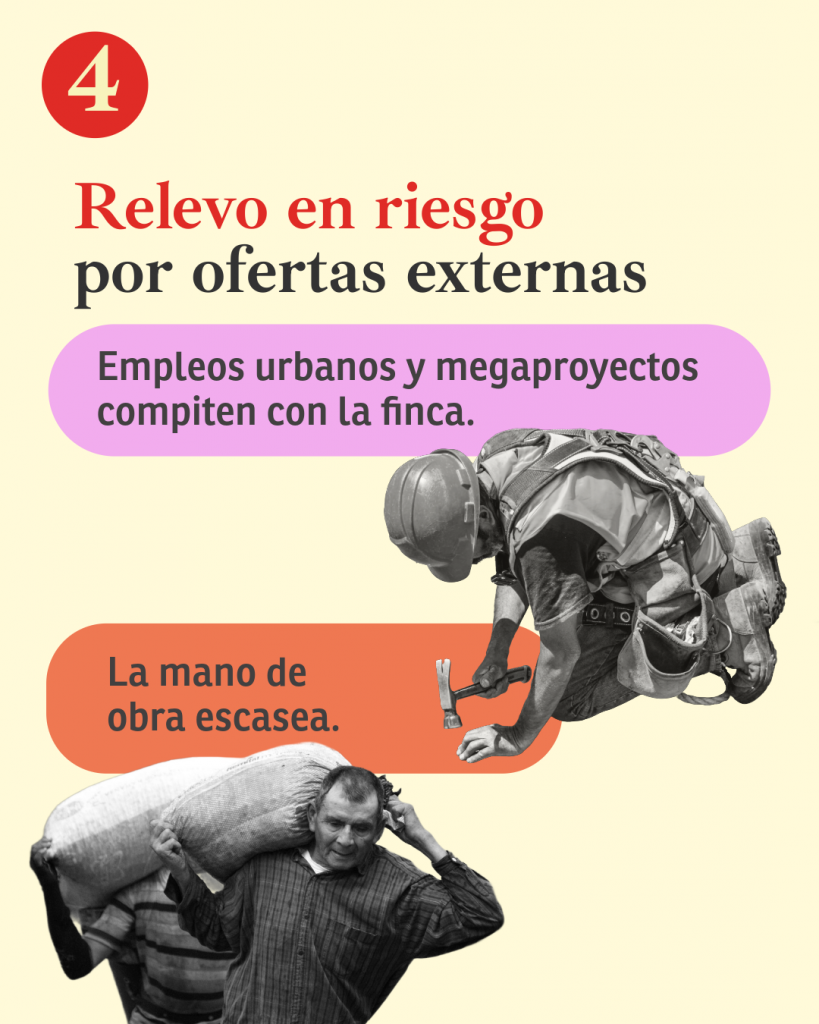 El campo en Colombia necesita un relevo generacional: ¿cómo abordarlo?