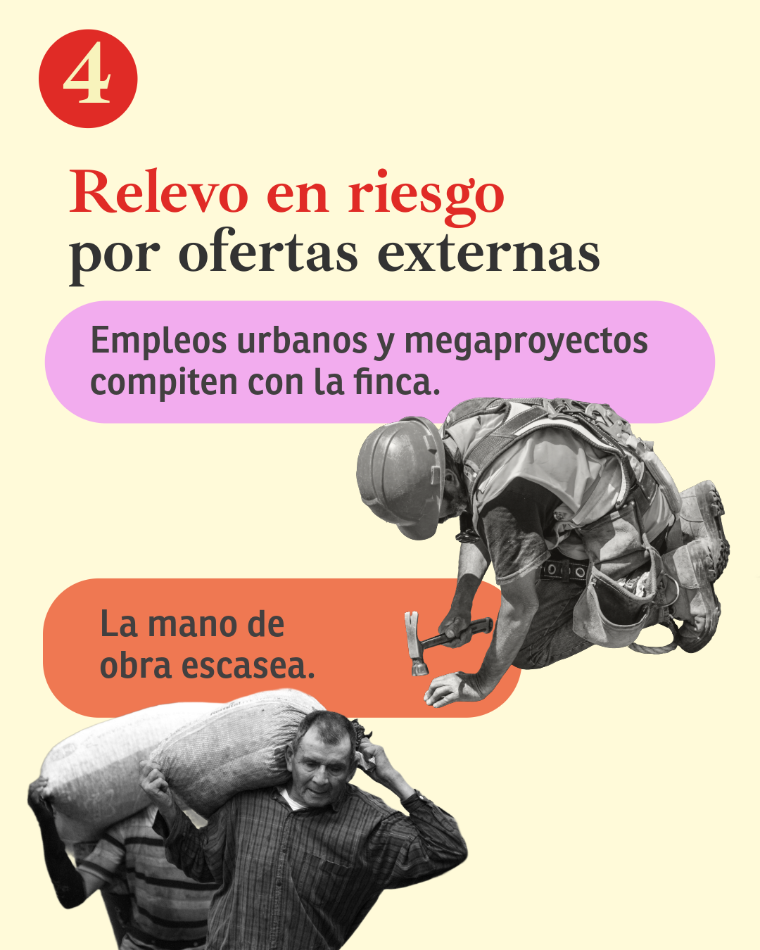 El campo en Colombia necesita un relevo generacional: ¿cómo abordarlo?
