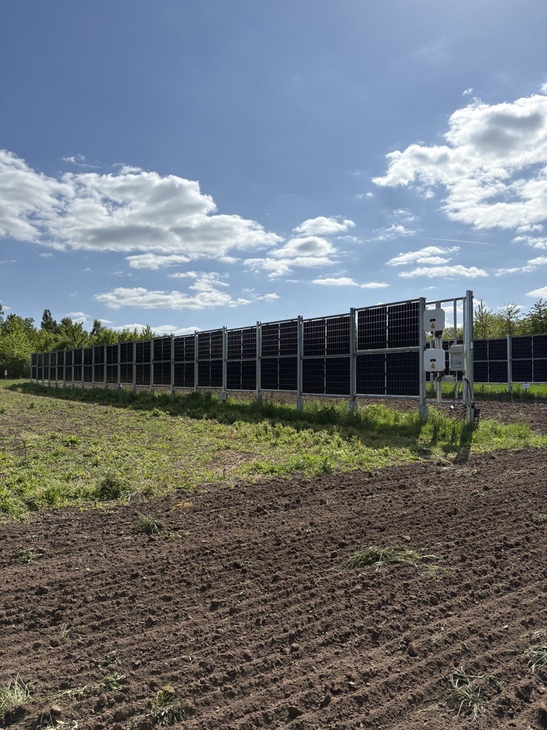 Sistemas agrivoltáicos / Fotografía cortesía de los investigadores
