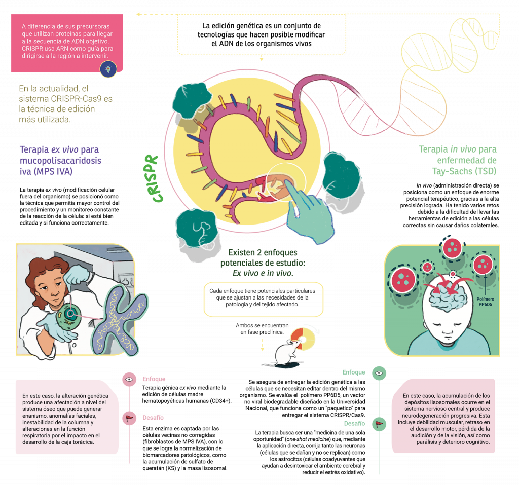 Medicina genética personalizada
