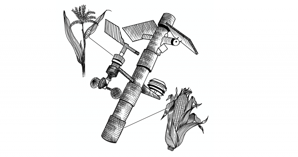 Emprender desde la ciencia: las spin off que nacen en la Javeriana Cali Las spin-off de Javeriana Cali llevan la investigación universitaria al servicio de la sociedad, con innovaciones en sostenibilidad, salud y educación que responden a los desafíos del mundo actual. / Ilustraciones: Lina Espitia