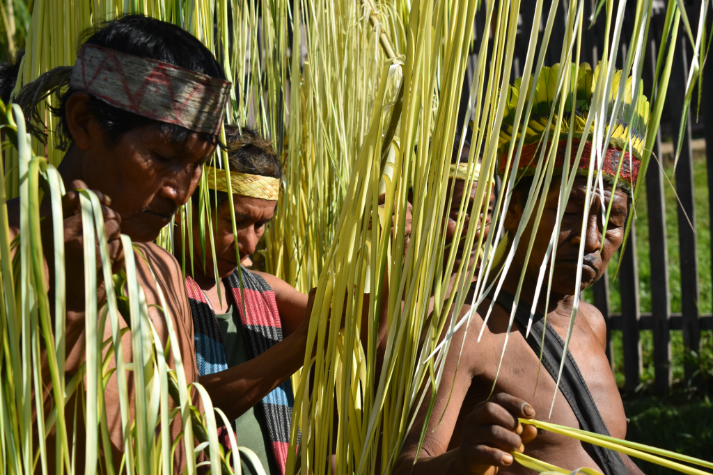 Amanecer la palabra: tejido de memoria para sanar el silencio Investigadores javerianos, junto a mujeres sabedoras amazónicas y sus comunidades, crearon un canasto de sonidos que preserva lenguas en riesgo y fortalece la transmisión del conocimiento ancestral como una forma de resistencia y cuidado del territorio: un diálogo de saberes entre academia y pueblos indígenas para salvaguardar la memoria ancestral.
