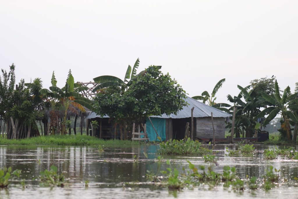 Un estudio pionero revela que las temperaturas extremas están rompiendo los ciclos naturales de las ciénagas en La Mojana, con consecuencias graves para las comunidades pesqueras y la biodiversidad de esta subregión del Caribe colombiano.