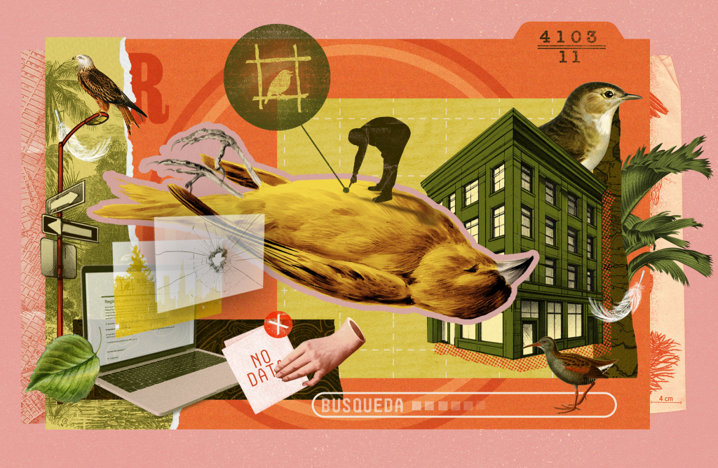 Cuando el cielo se convierte en vidrio