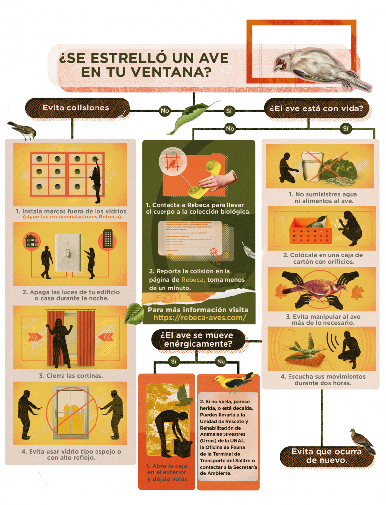 Cuando el cielo se convierte en vidrio