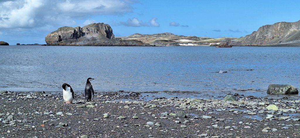 Así se siente la Antártida: el continente a través de los sentidos