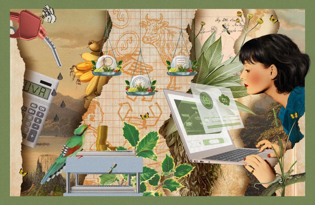 Biocontabilidad: medir la vida para salvarla La investigación propone un nuevo modelo de contabilidad que ponga el foco en lo ecológico, no lo económico. / Ilustración: Jorge Tukán