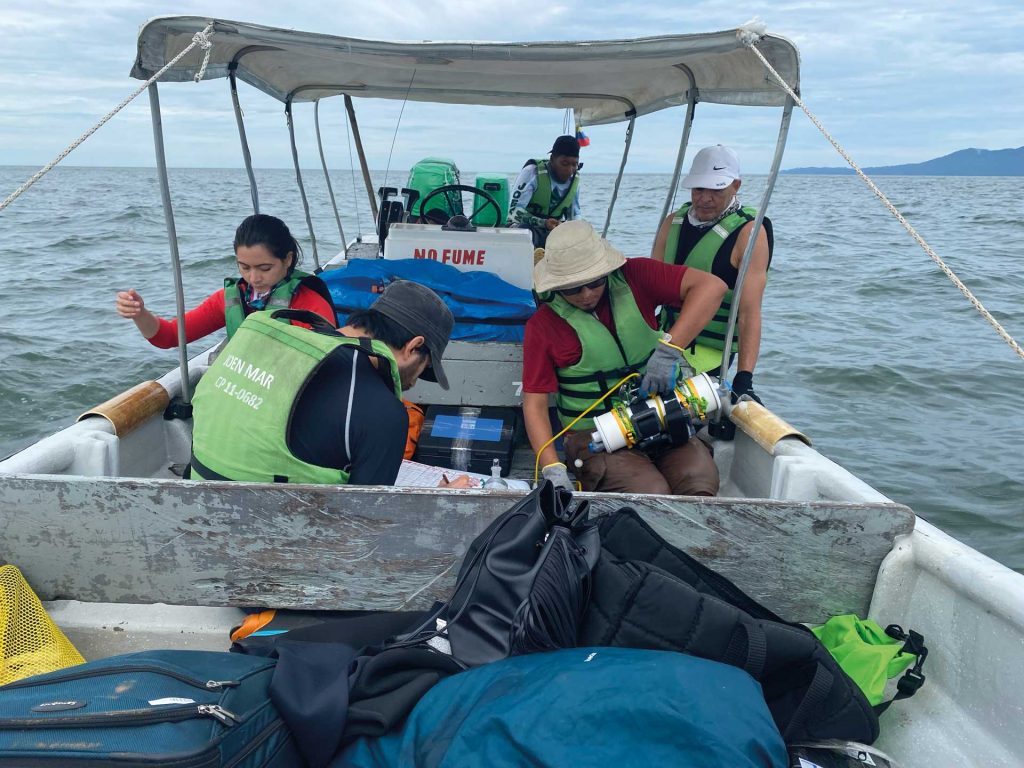 Acidificación: el veneno silencioso de los océanos