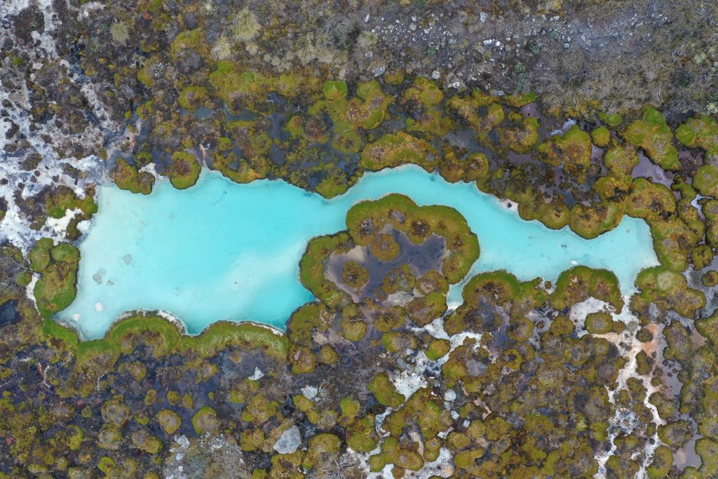 Los humedales colombianos juegan un papel esencial en la regulación climática.