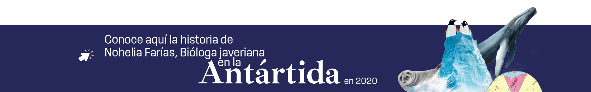 pop-up-antartida-2 (1)