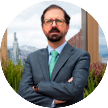 Felipe Arbouin Gómez
