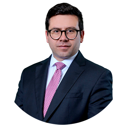Sergio Rojas