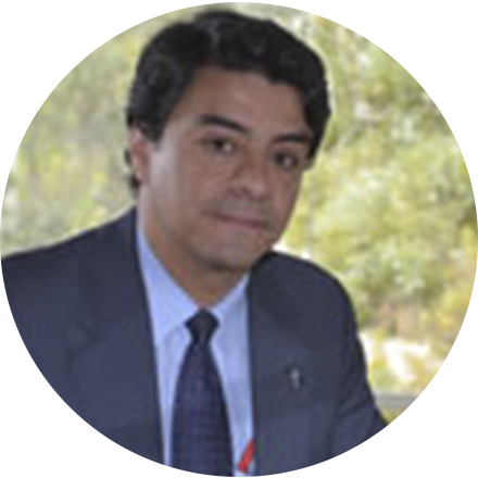 Doctor P. Luis Javier Sarralde Delgado, S.J.