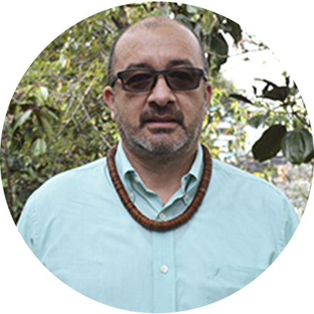 Profesor