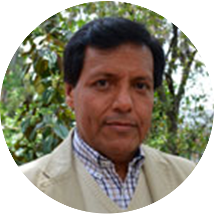 Profesor