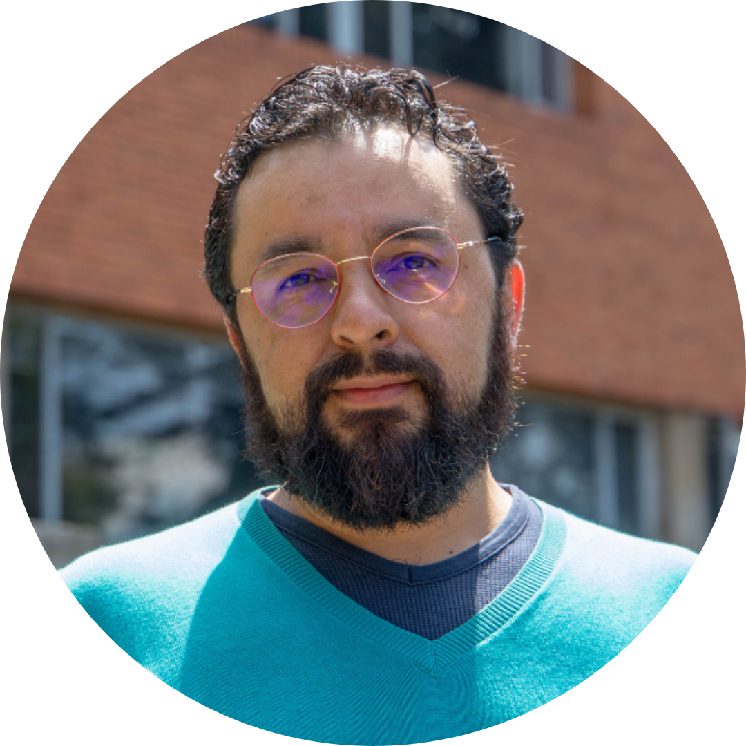 Profesor e investigador