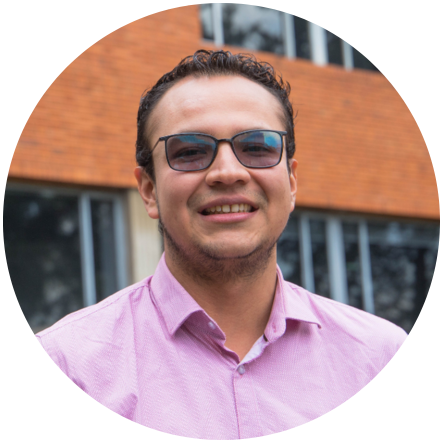 Coordinador Eje de Lingüística y Educación Lingüística