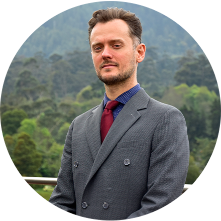 Profesor e investigador