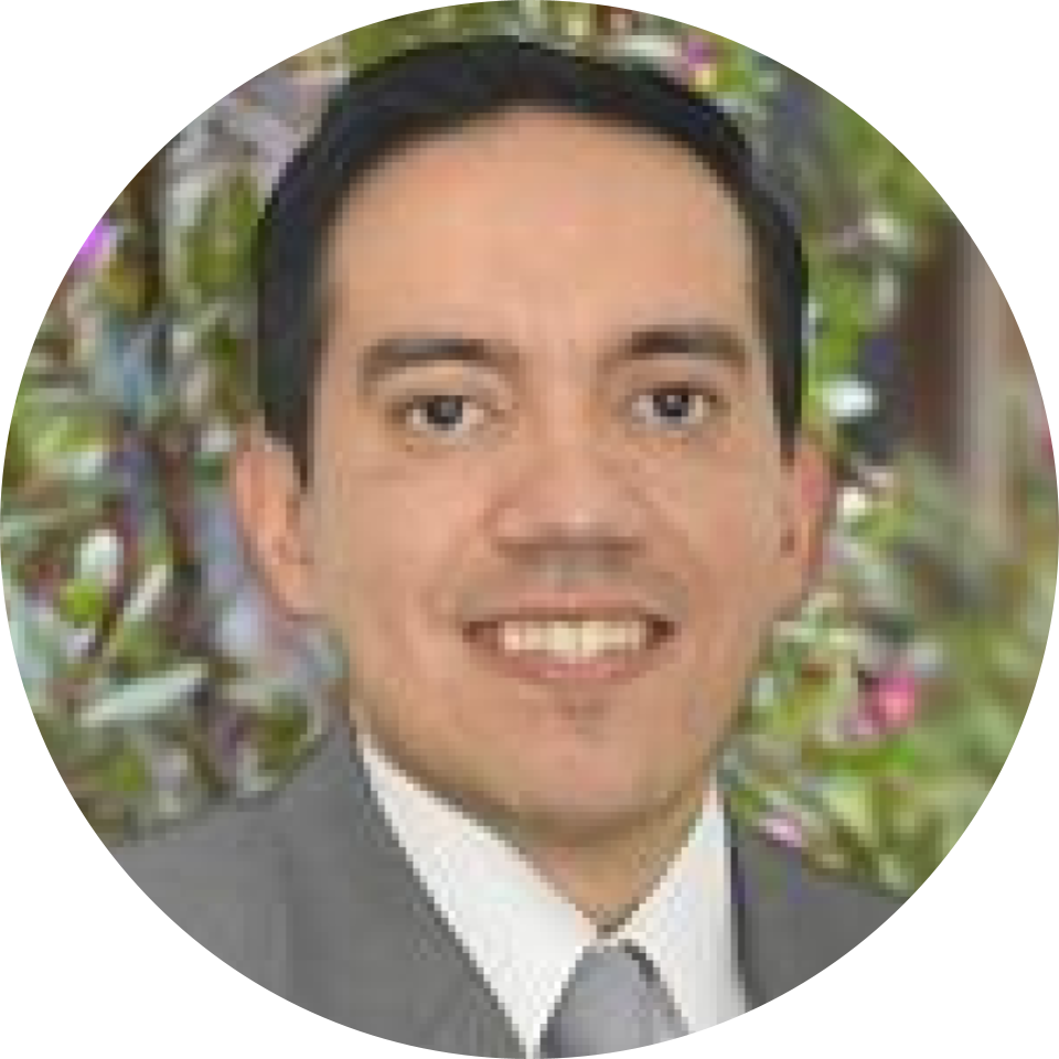 Director del programa
