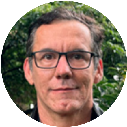 Profesor temporal