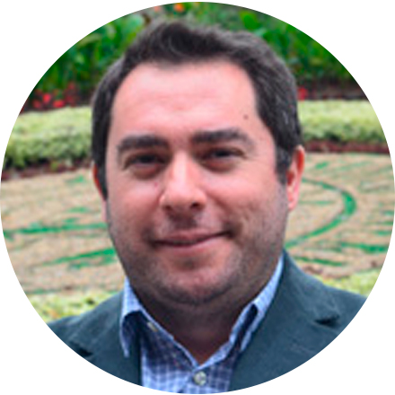 Profesor asistente