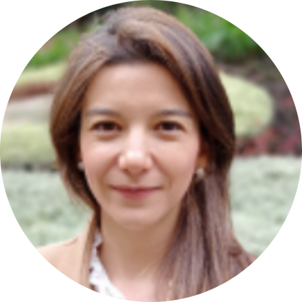 Profesora Asistente