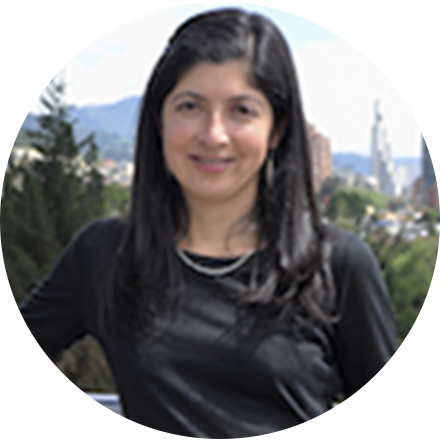 Profesora, Directora de las maestrías del Departamento de Relaciones Internacionales