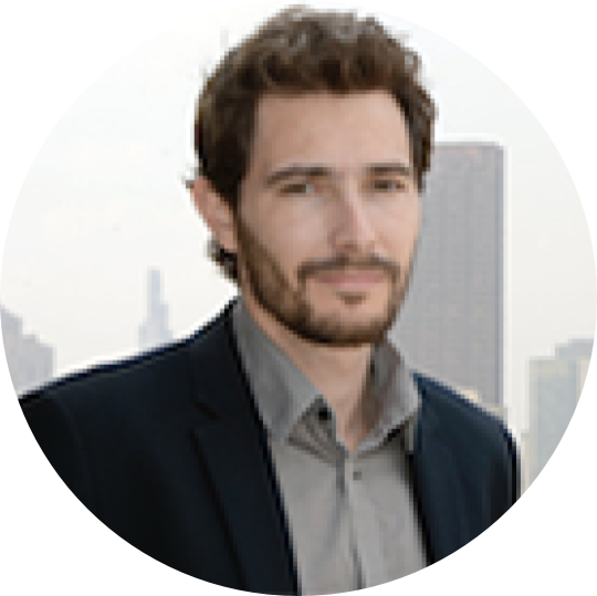 Profesor e investigador
