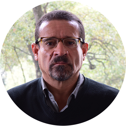Director de carrera
