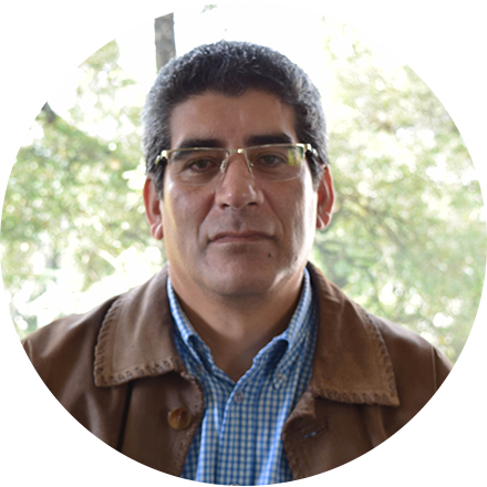 Profesor asistente
