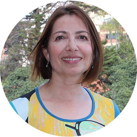 Profesora Eje 3: Sociedad del conocimiento, de la información, comunicación y procesos socioeducativos.