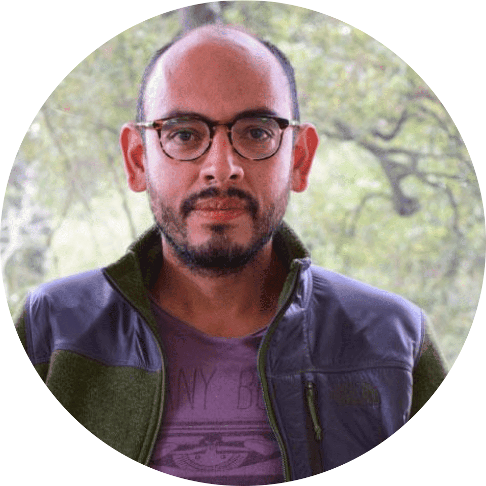 Profesor Eje 1: Estado, Sociedad y Desarrollo.