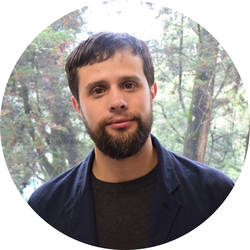 Profesor Eje 3: Sociedad del conocimiento, de la información, comunicación y procesos socioeducativos.