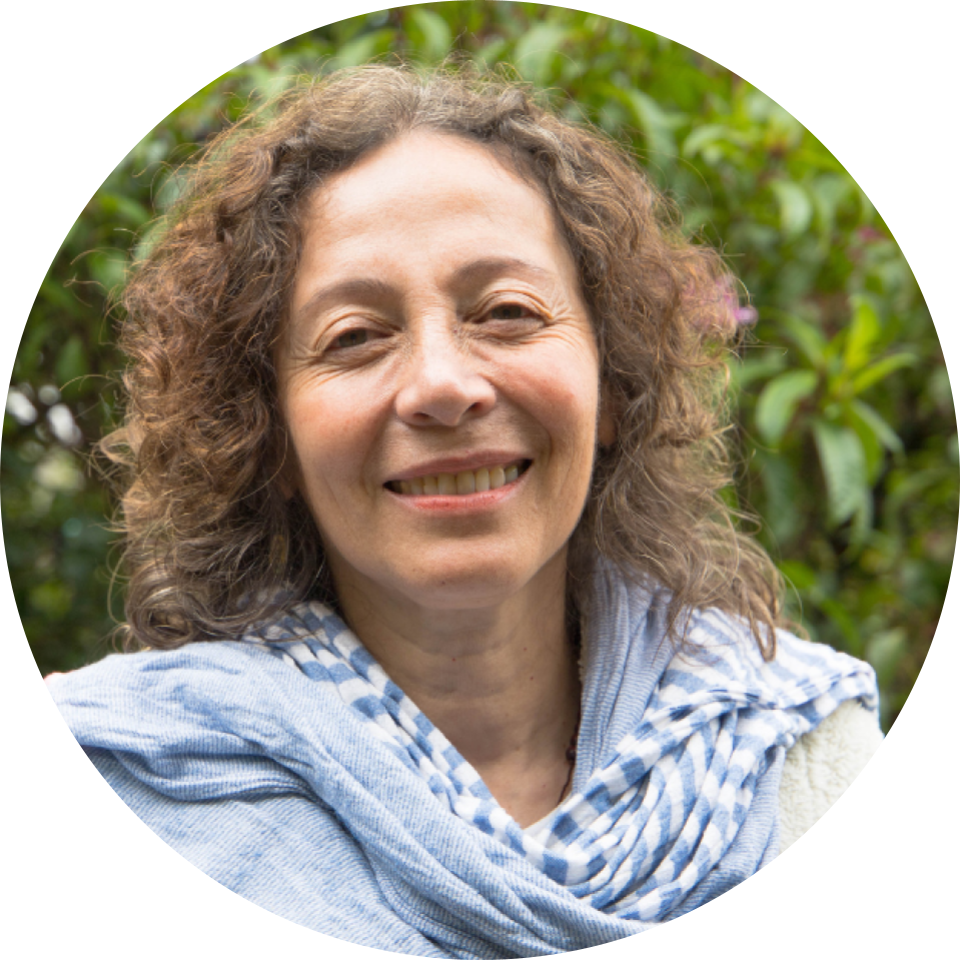 Profesora Eje 2: El despojo y lo común.