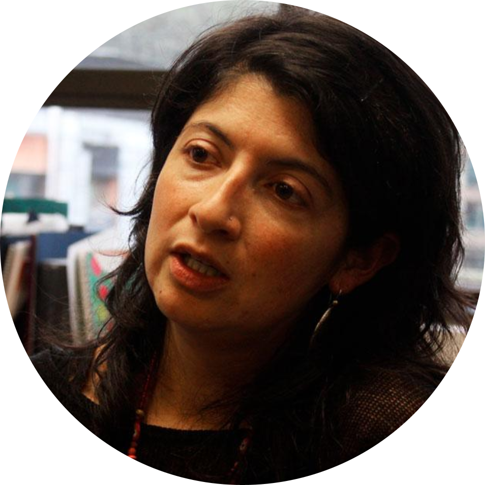 Profesora Eje 1: Estado, Sociedad y Desarrollo.