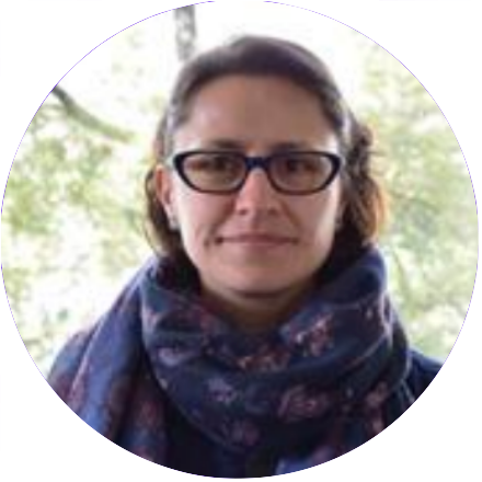 Profesora Eje 1: Estado, Sociedad y Desarrollo.