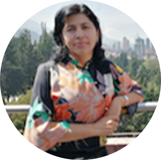 Profesor Eje 1: Estado, Sociedad y Desarrollo.