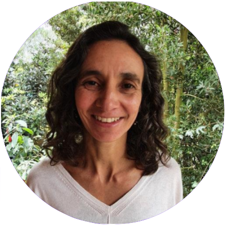 Profesora Eje 1: Estado, Sociedad y Desarrollo.