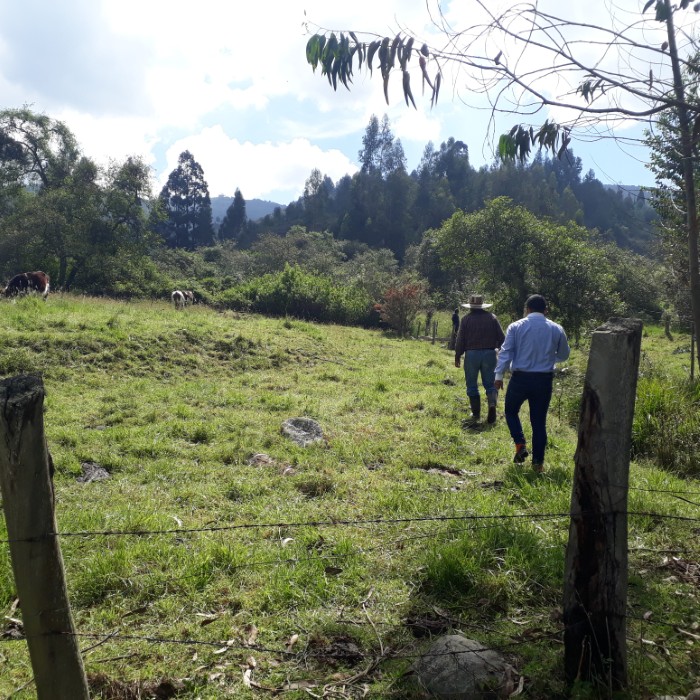 Profesionales recorriendo una zona rural montañosa durante una salida de campo en salud pública.